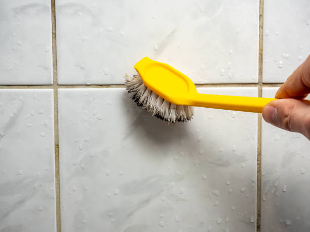 Best Insurance-Related Mold Remediation in Dulles Town Center, VA
